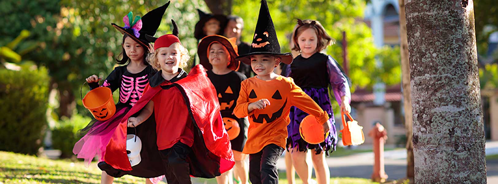 Halloween Safety Tips